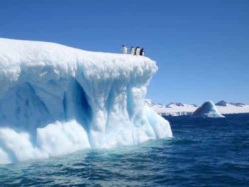 Antarctica-and-Penguin.jpg