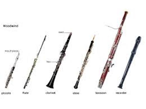 Carla's Practice Blog : Research Two Wind Instruments