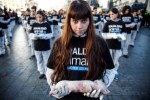 10 Interesting Animal Rights Facts