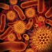 10 Interesting Bacteria Facts