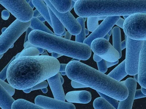Bacteria in Blue