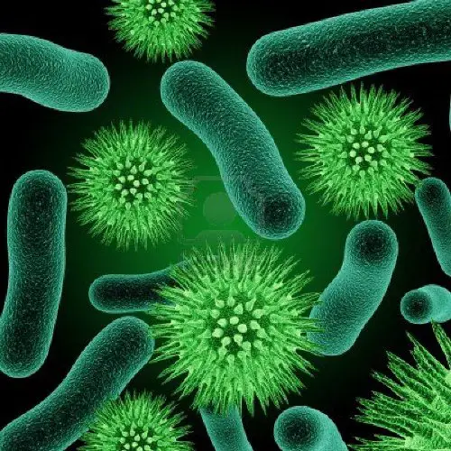 Bacteria in Green Colors