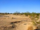 10 Interesting Deserts Facts