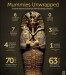 10 Interesting Mummy Facts