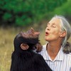 10 Interesting Jane Goodall facts