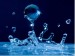 10 Interesting Water Facts