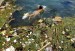 10 Interesting Water Pollution Facts