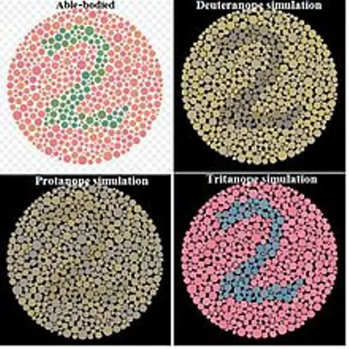 Color Blindness Facts