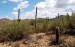 10 Interesting Desert Biome Facts