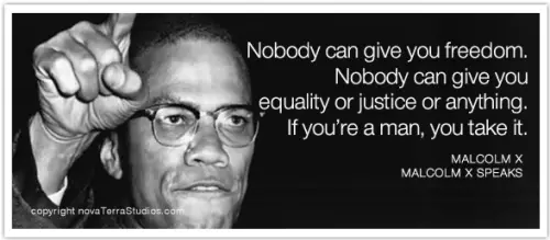Malcolm X Facts