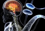 10 Interesting Parkinson S Disease Facts