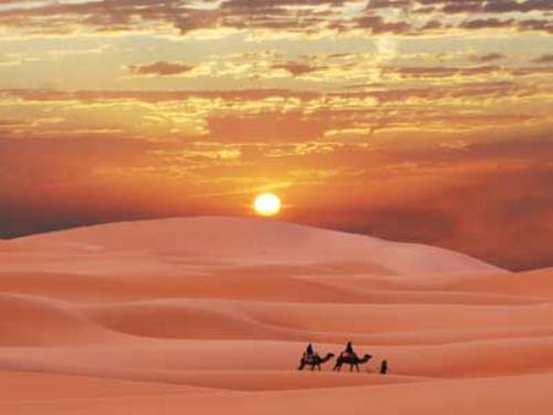 Sunset in Desert Biome