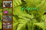 10 Interesting Going Green Facts