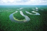 10 Interesting Amazon River Facts