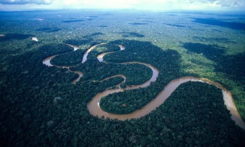 Amazon River Fact
