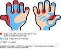 10 Interesting Hand Washing Facts