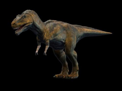 Tyrannosaurus Rex Facts