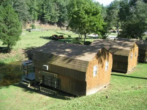 daniel boone family campground
