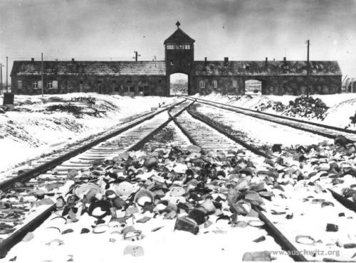 Auschwitz Camps