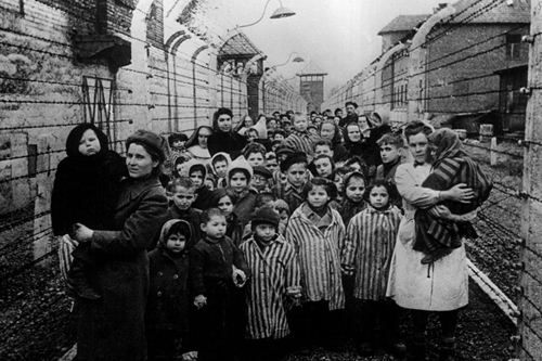 Auschwitz VictimsAuschwitz Victims