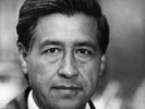 10 Interesting Cesar Chavez Facts