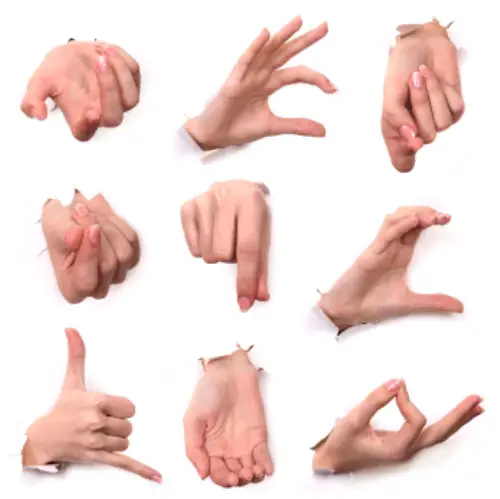 Gestures of hands 