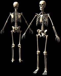 10 INTERESTING FACTS ABOUT HUMAN BONES visual data 2