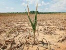 10 Interesting Drought Facts
