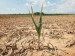 10 Interesting Drought Facts