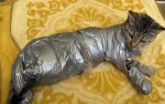 10 Interesting Duct tape Facts