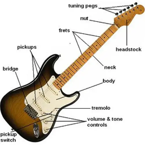 10 Interesting Electric Guitar Facts | My Interesting Facts