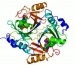 10 Interesting Enzyme Facts