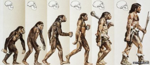Evolution Facts