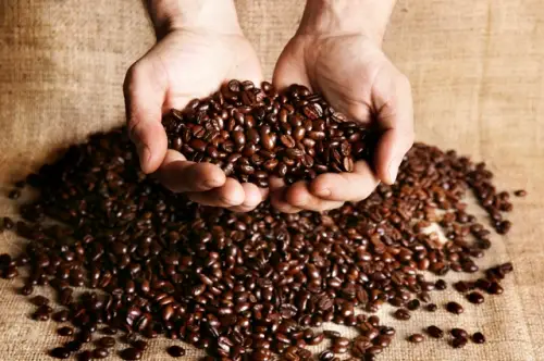 Fair Trade for Coffee