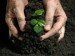 10 Interesting Fertilizer Facts