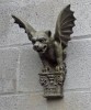 10 Interesting Gargoyle Facts