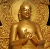 10 Interesting Gautama Buddha Facts