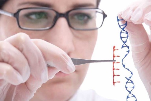 Genetic Engineering Science