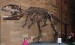 10 Interesting Giganotosaurus Facts