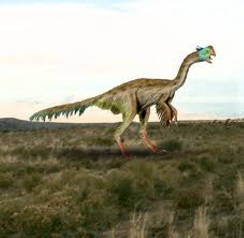 Gigantoraptor Image