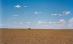 10 Interesting Gobi Desert Facts
