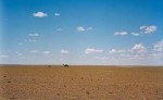 10 Interesting Gobi Desert Facts