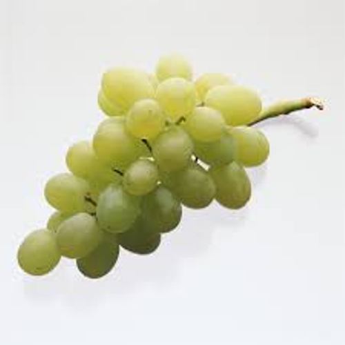 Grape Green