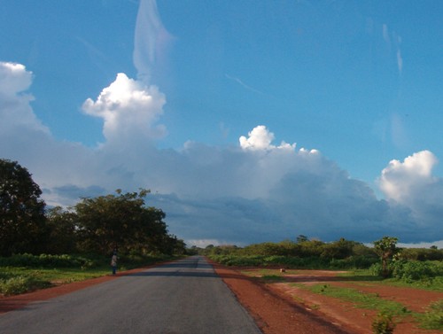 Guinea-Bissau Landscape