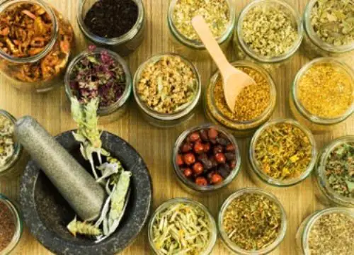 Herbal Medicine Types