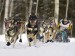 10 Interesting Iditarod Facts