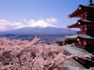 10 Interesting Japan Facts