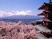 10 Interesting Japan Facts