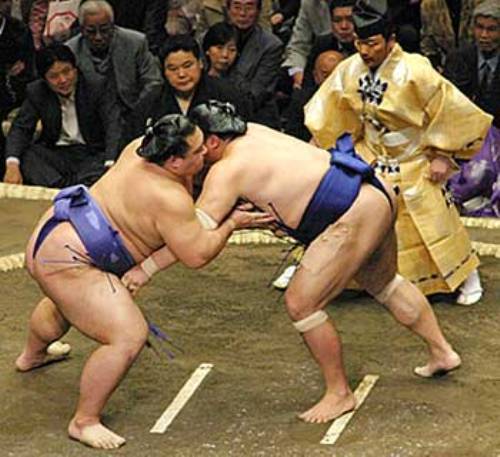japanese culture Sumo