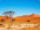 10 Interesting the Kalahari Desert Facts